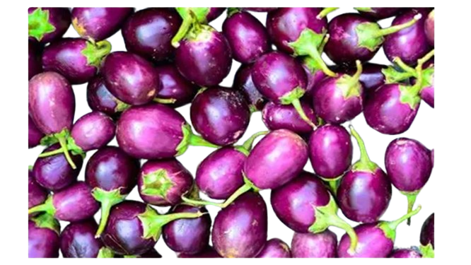 AUBERGINES